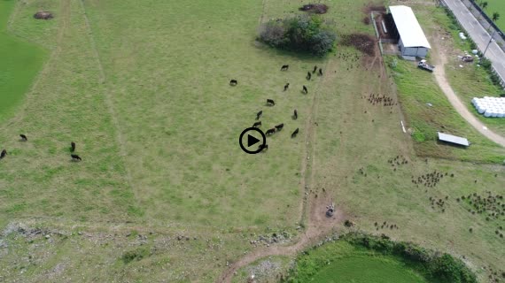 黒島湾道百選4-2