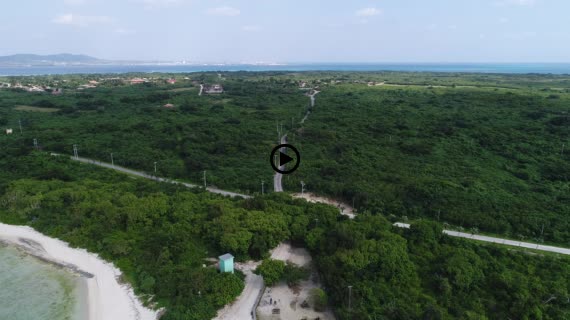 竹富コンドイビーチ8-1