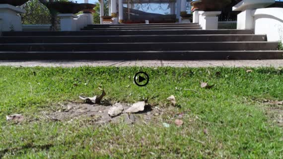 コーンパペンの滝18-1