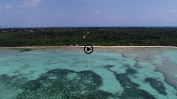 竹富コンドイビーチ5-2