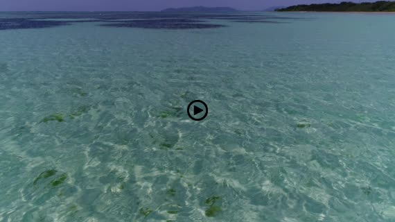 竹富コンドイビーチ2-2