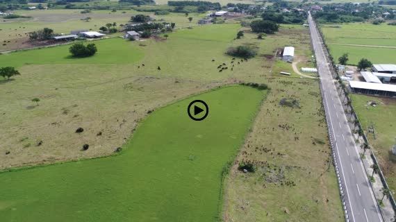 黒島湾道百選4-1