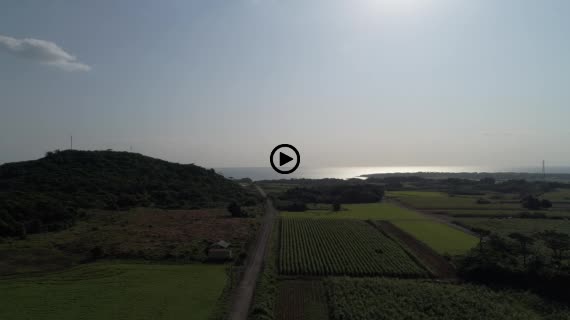 小浜島ロード4-2