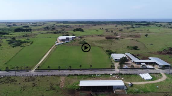 黒島湾道百選5-1