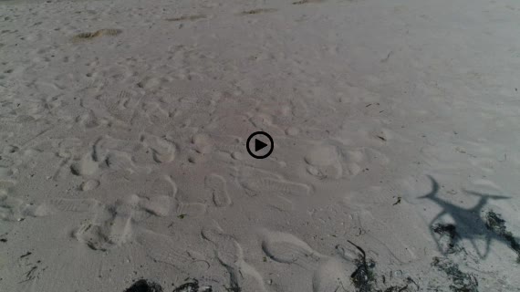 竹富コンドイビーチ2-1