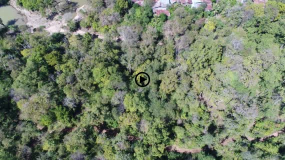 コーンパペンの滝6-1