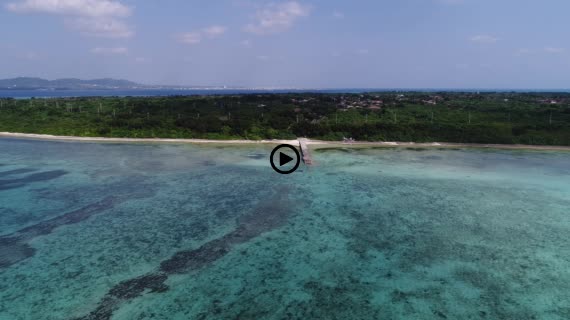 竹富コンドイビーチ5-1