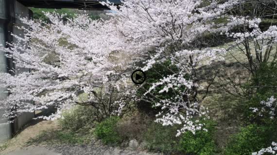松川湖1-1