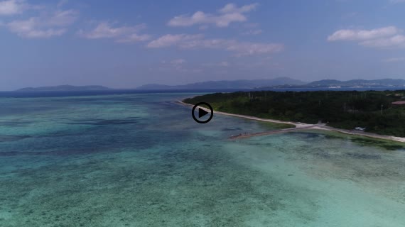 竹富コンドイビーチ3-1