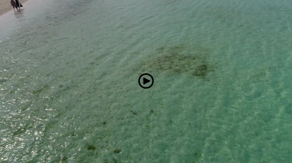 竹富コンドイビーチ7-1