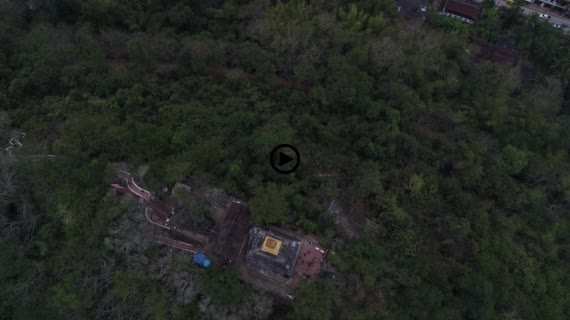 プーシーの丘2-1