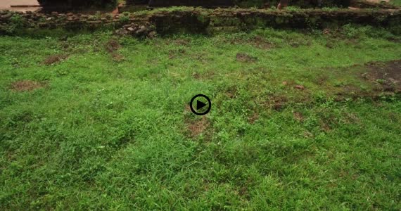 ミーソン遺跡10-1