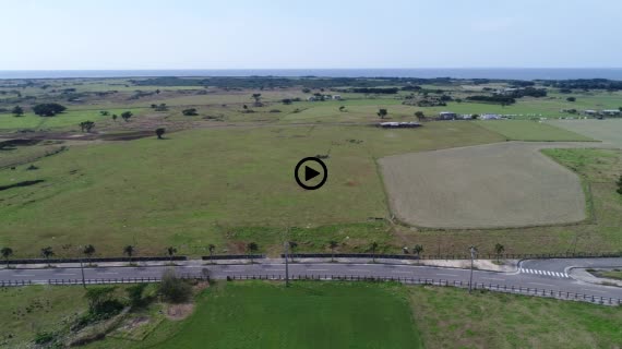 黒島湾道百選5-2