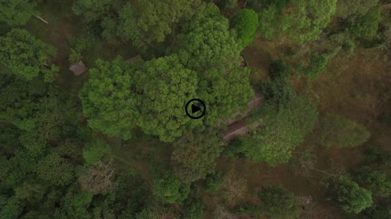 タートニュアンの滝8-1