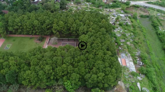 ティエンムー寺6-1